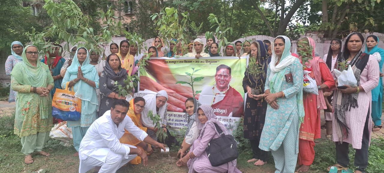 गुरू चन्द्रमोहन के जन्म दिवस पर सवा लाख वृक्षारोपण अभियान का शुभारंभ