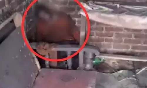 मेरी पत्नी से शिक्षक का था अफेयर… इसलिए मार डाला