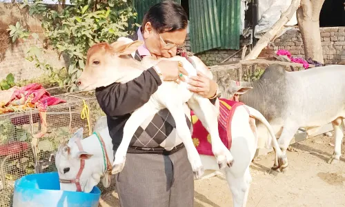 उद्यमी सतीश गोयल की गौशाला में आया नया मेहमान