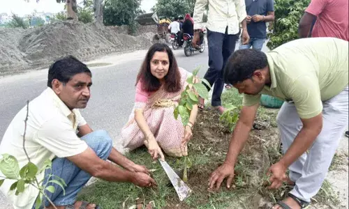 शहर में दस हजार पेड़ लगायेगी पालिकाः मीनाक्षी स्वरूप