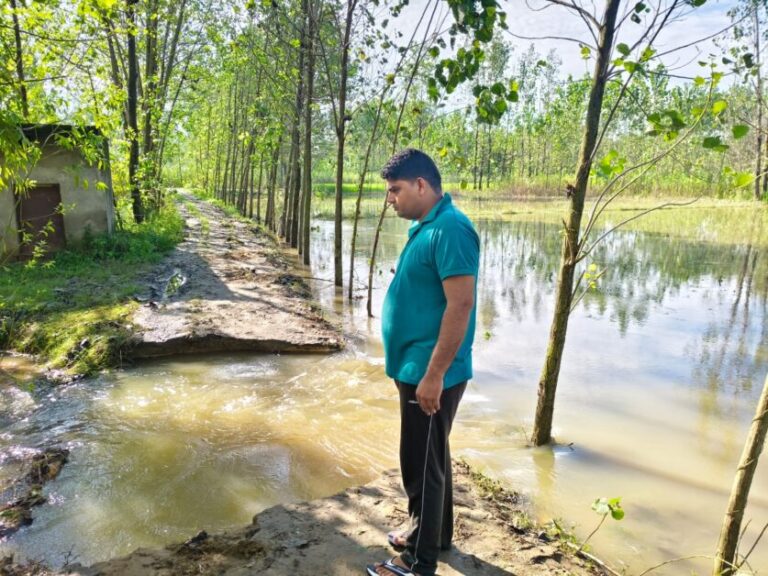 बारिश से तबाही का मंजरः नंगला राई में नहर की पटरी टूटी, खेत जलमग्न