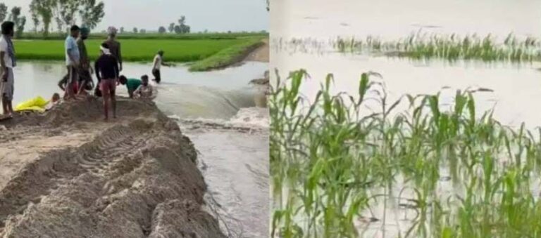 धुस्सी बांध टूटा, बाढ़ से 1.72 हेक्टेयर फसल बर्बाद