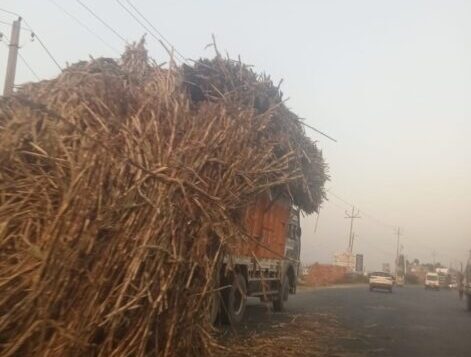 मुजफ्फरनगर-मौत बनकर सड़कों पर दौड़ रहे ओवरलोड गन्ना वाहन