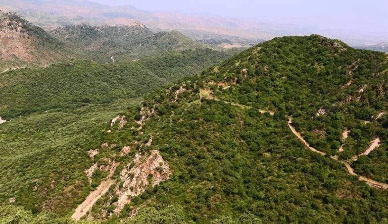 अरावली में खनन पर पूरी तरह रोक: केंद्र सरकार के सख्त निर्देश, राज्यों को नई लीज न देने का आदेश