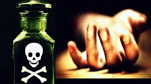 एसआईआर ड्यूटी के दौरान स्कूल परिसर में बीएलओ ने खाया जहर, हालत नाज़ुक