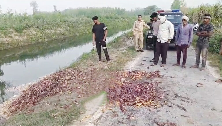 माहौल बिगाड़ने की कोशिश, देवस्थल के पास मीट मिलने से तनाव