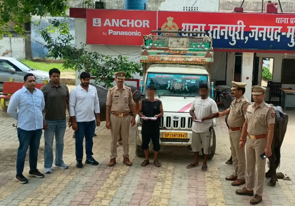 रतनपुरी पुलिस द्वारा बरामद बोलेरो और चोरी की दो भैंसें